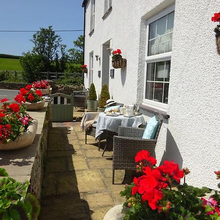 Yr Hen Felin - The Old Mill B&B Morfa Nefyn Εξωτερικό φωτογραφία