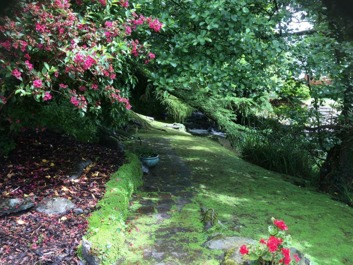 Yr Hen Felin - The Old Mill B&B Morfa Nefyn Εξωτερικό φωτογραφία