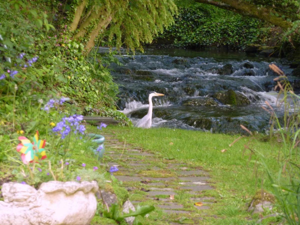Yr Hen Felin - The Old Mill B&B Morfa Nefyn Εξωτερικό φωτογραφία